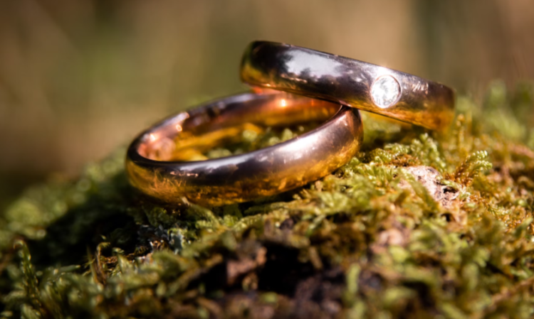 В Рязанской области в 2024 году брак заключили более 6000 пар