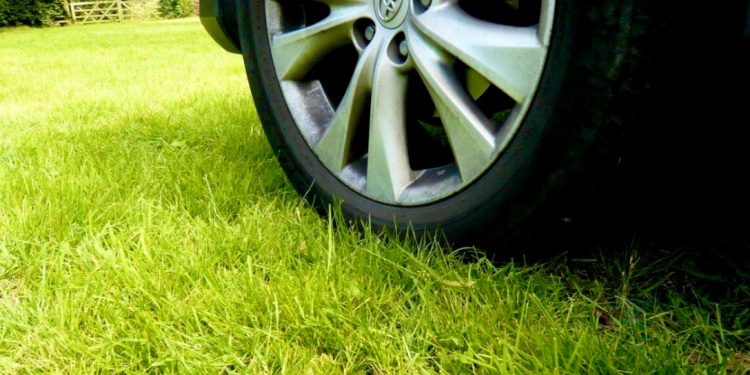 С начала года за парковку на газонах оштрафованы 3256 водителей-нарушителей