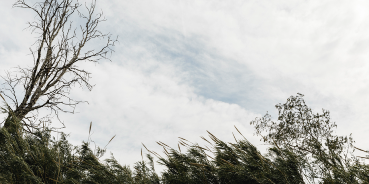 Рязанцев предупредили о дожде и усилении ветра 18 мая