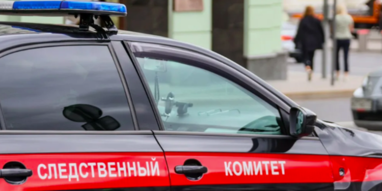 Жительница рязанского Скопина обнаружила 85-летнюю мать мертвой в огороде