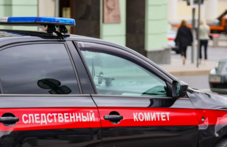 Жительница рязанского Скопина обнаружила 85-летнюю мать мертвой в огороде