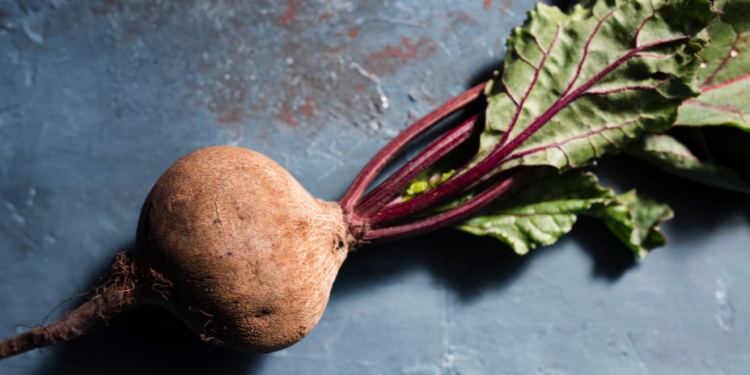 Аллерголог Попова назвала овощ, обладающий самыми мощными антибактериальными свойствами