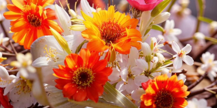 Синоптик Вильфанд пообещал россиянам летнюю погоду в ближайшие выходные дни Синоптик Вильфанд пообещал россиянам летнюю погоду в ближайшие выходные дни