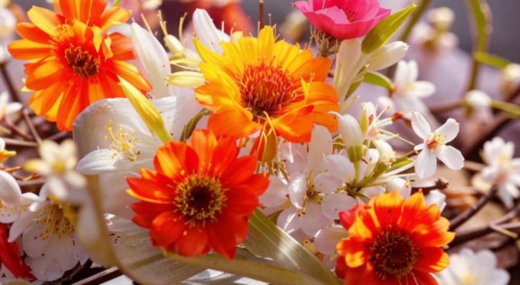 Синоптик Вильфанд пообещал россиянам летнюю погоду в ближайшие выходные дни