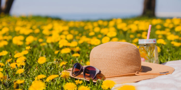 Во вторник в Рязанской области потеплеет до +29 градусов