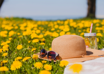 Синоптик Ильин: конец июля и начало августа в Центральной России ожидаются жаркими Синоптик Ильин: конец июля и начало августа в Центральной России ожидаются жаркими