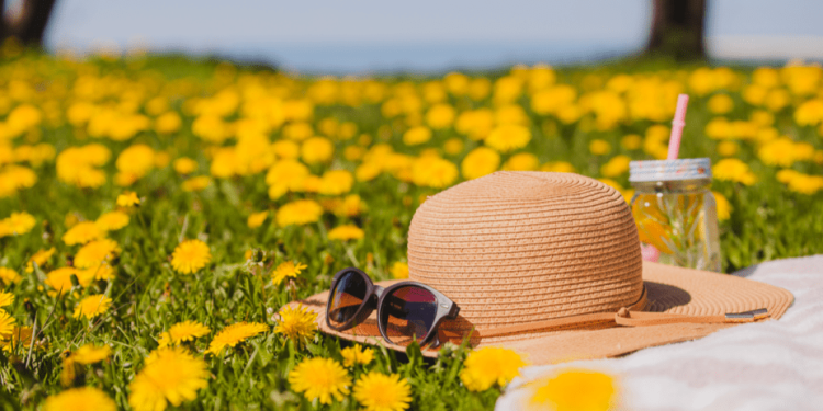 Синоптик Вильфанд: с четверга в Центральную Россию вернется теплая погода Синоптик Вильфанд: с четверга в Центральную Россию вернется теплая погода