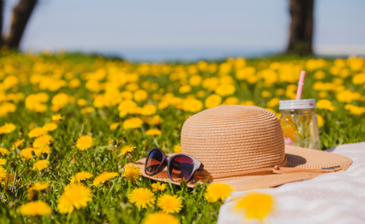 Синоптик Вильфанд: с четверга в Центральную Россию вернется теплая погода