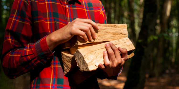 В Клепиковском районе 47-летний мужчина грозил убить поленом хозяйку квартиры