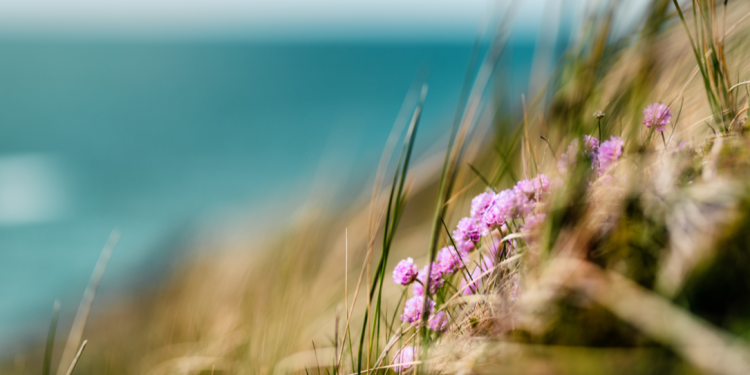 В четверг в Рязанской области потеплеет до +24 градусов