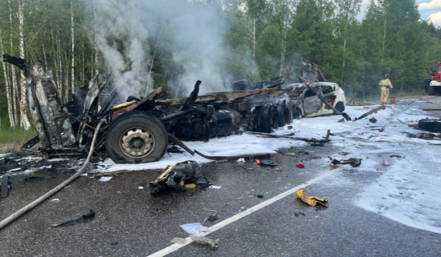 В массовом ДТП в Клепиковском районе погибли два водителя