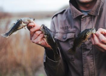 Рязанским рыбакам напомнили о временном запрете на ловлю рыбы до 10 июня