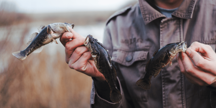 Рязанским рыбакам напомнили о временном запрете на ловлю рыбы до 10 июня