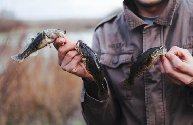 Рязанским рыбакам напомнили о временном запрете на ловлю рыбы до 10 июня