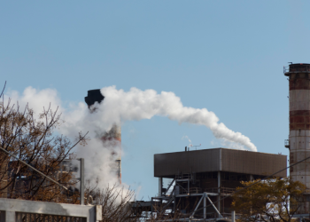 Рязанские чиновники рассказали губернатору Павлу Малкову о «борьбе» с вонью в городе