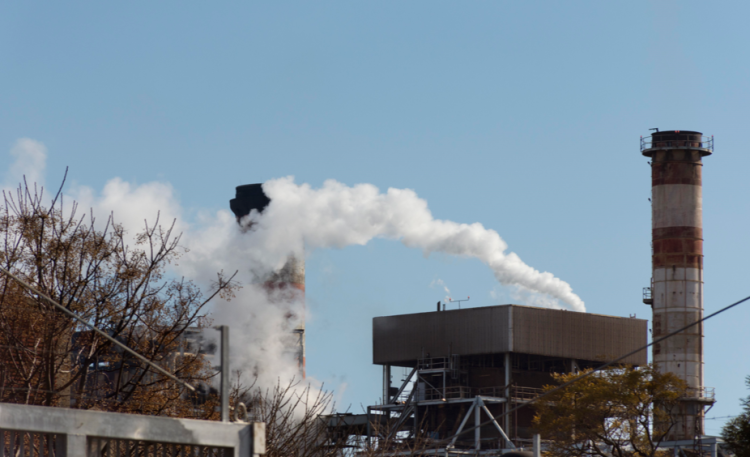 Рязанские чиновники рассказали губернатору Павлу Малкову о "борьбе" с вонью в городе