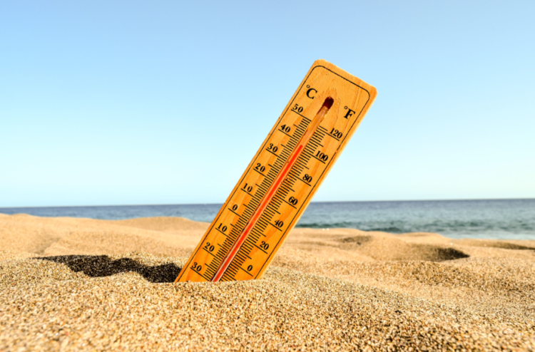 МЧС: до 31 мая в Рязанской области сохранится жара до +32 градусов