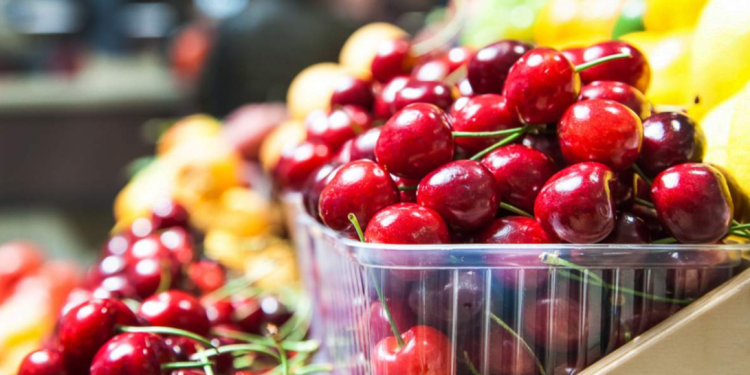 С начала 2025 года в Рязани за незаконную торговлю оштрафовали 973 человека