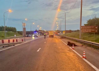 В Рыбновском районе 60-летний водитель сбил двух лосей В Рыбновском районе 60-летний водитель сбил двух лосей