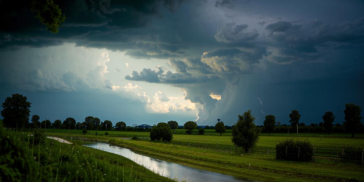 В первый летний день в Рязанской области ожидается дождь с грозой и до +26 градусов