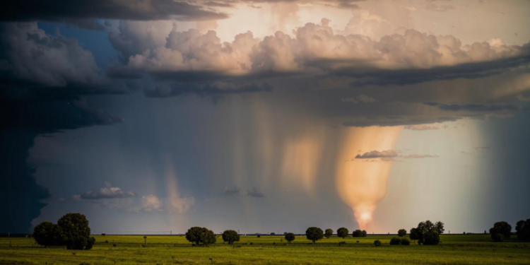 Рязанские энергетики подготовились к непогоде Рязанские энергетики подготовились к непогоде