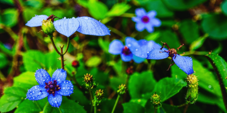 Во вторник в Рязанской области ожидается небольшой дождь и до +27 градусов