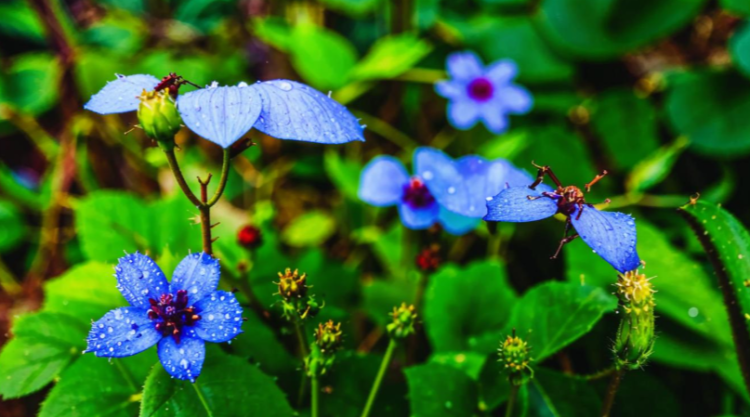 Во вторник в Рязанской области ожидается небольшой дождь и до +27 градусов
