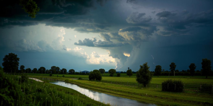 В Рязанской области ожидается прохлада и сырость до конца недели