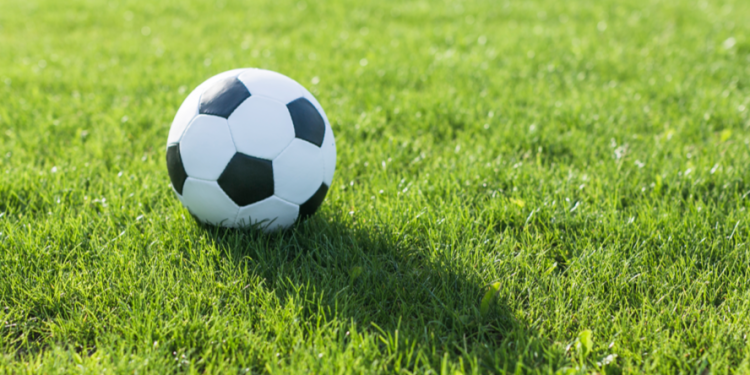 Две спортшколы в Рязанской области получат два микроавтобуса