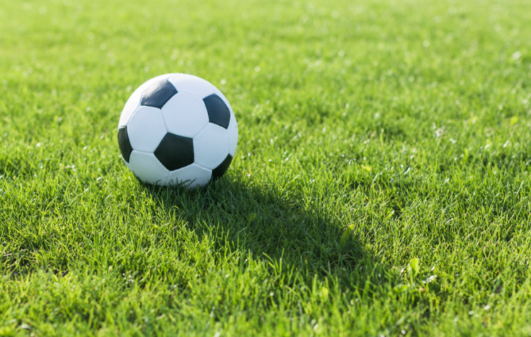 Две спортшколы в Рязанской области получат два микроавтобуса