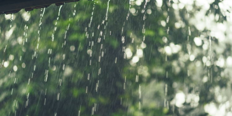 Синоптик Шувалов: с 18 июня в Центральной России начнется похолодание