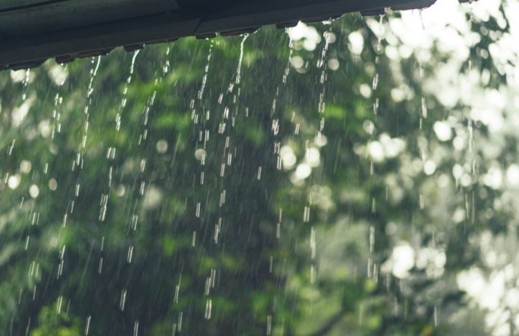 Синоптик Шувалов: с 18 июня в Центральной России начнется похолодание