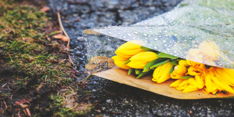 Синоптик Позднякова: в выходные дни в Центральной России ожидается похолодание Синоптик Позднякова: в выходные дни в Центральной России ожидается похолодание