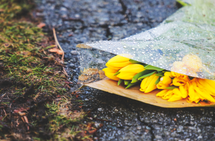 Синоптик Позднякова: в выходные дни в Центральной России ожидается похолодание