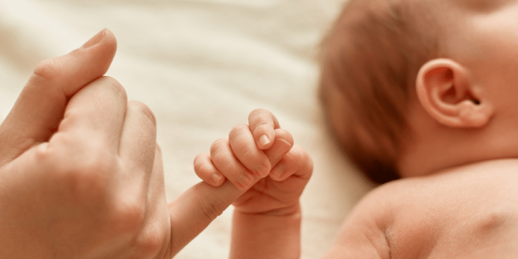 В Рязанской области на свет появились Злата, Алисия, Федор и Лука