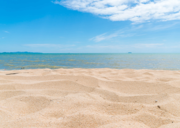 В Рязанском регионе обновили онлайн-карту пляжей В Рязанском регионе обновили онлайн-карту пляжей