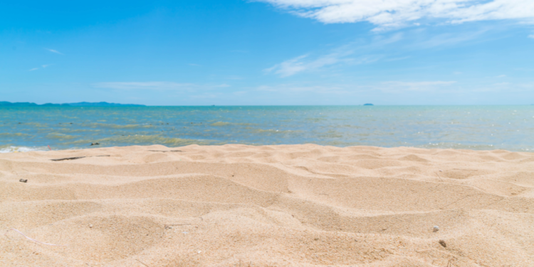 В Рязанском регионе обновили онлайн-карту пляжей