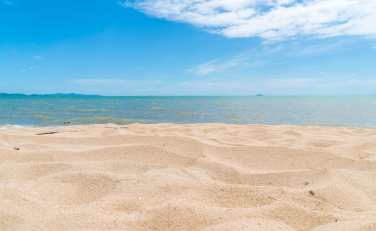 В Рязанском регионе обновили онлайн-карту пляжей