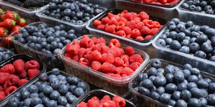 С начала года за незаконную торговлю в Рязани оштрафовали 1055 нарушителей