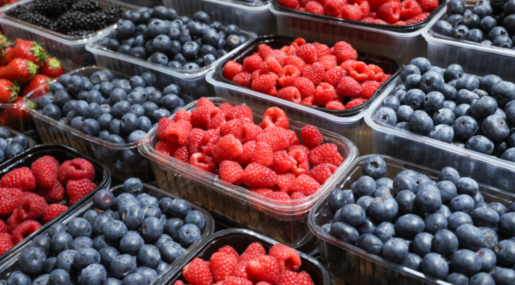 С начала года за незаконную торговлю в Рязани оштрафовали 1055 нарушителей