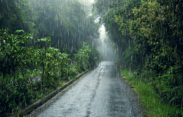 В субботу в Рязанской области ожидается гроза и до +20 градусов