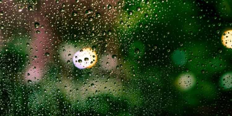 Синоптик Ильин призвал рязанцев не ждать потепления в ближайшее время