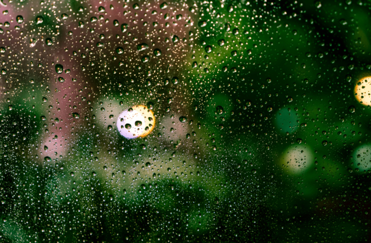 Синоптик Ильин призвал рязанцев не ждать потепления в ближайшее время