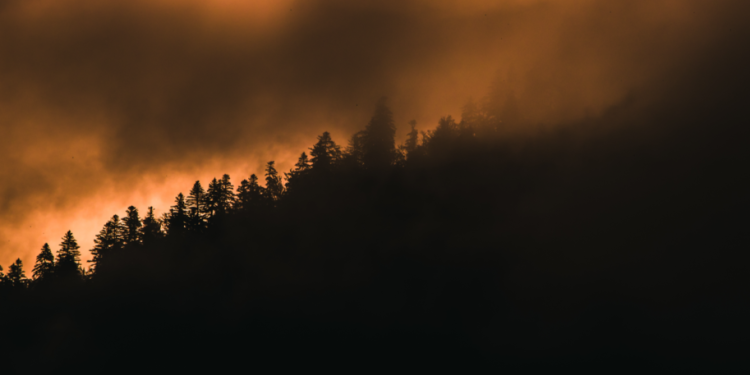 В Рязанской области отменили особый противопожарный режим