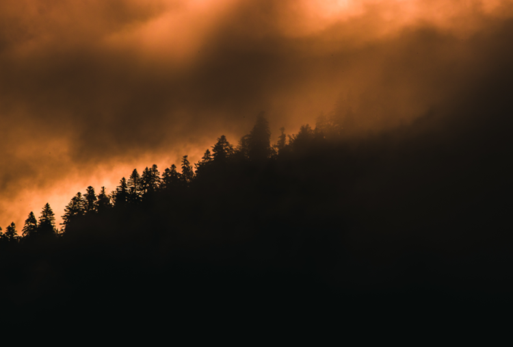 В Рязанской области отменили особый противопожарный режим