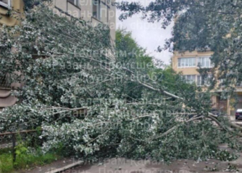 На рязанской улице 3-и Бутырки упавшее дерев перекрыло проезжую часть