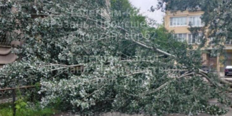 На рязанской улице 3-и Бутырки упавшее дерев перекрыло проезжую часть