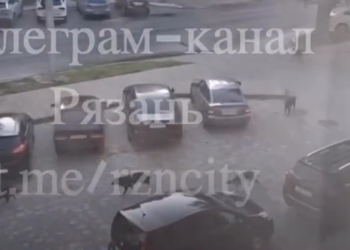 На рязанской площади Мичурина засняли стаю бездомных собак