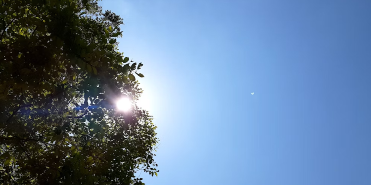 В субботу в Рязанской области ожидается до +23 градусов