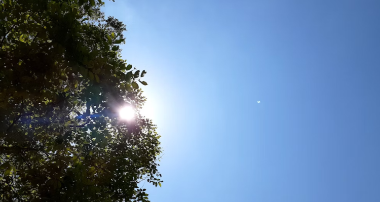 В субботу в Рязанской области ожидается до +23 градусов